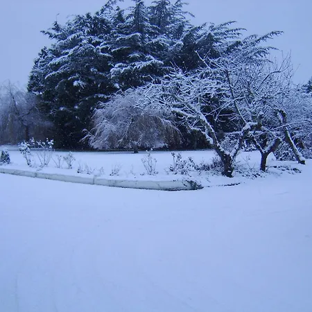 Bed & Breakfast The Gardens Guest Killarney
